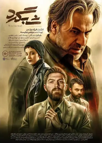 فیلم شبگرد