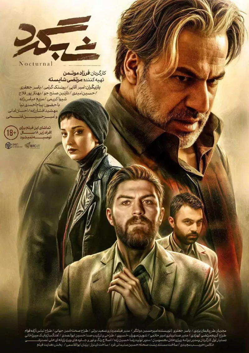 فیلم شبگرد